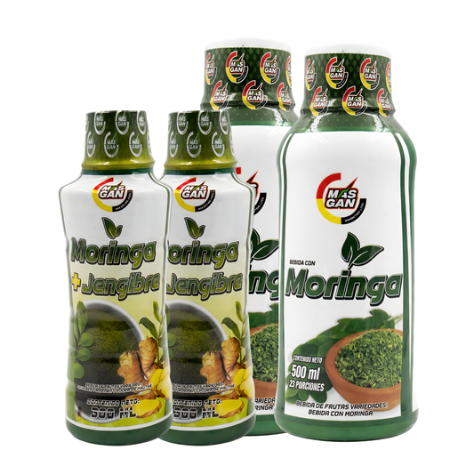 2 MORINGA 300 + 2 MORINGA 500