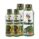 2 MORINGA 300 + 2 MORINGA 500