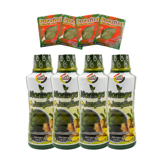 4 MORINGA + 4 DRENADORES